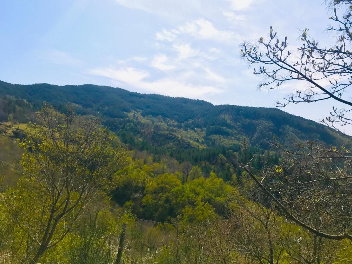 Borgo I Tre Baroni - Spa Suites & Resort Poppi Zewnętrze zdjęcie
